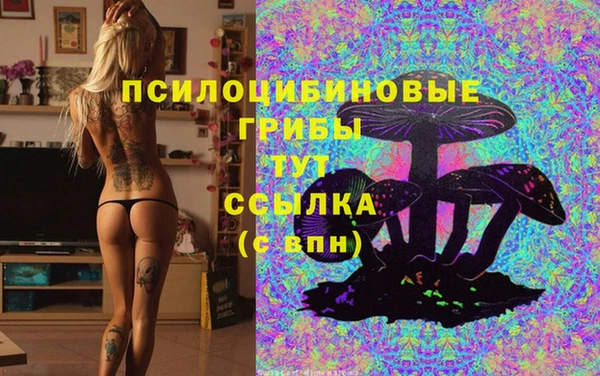 гидропоника Арсеньев