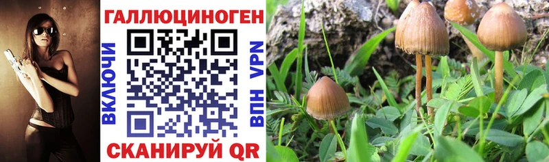 гидра зеркало  Новоульяновск  Галлюциногенные грибы Magic Shrooms  как найти наркотики 